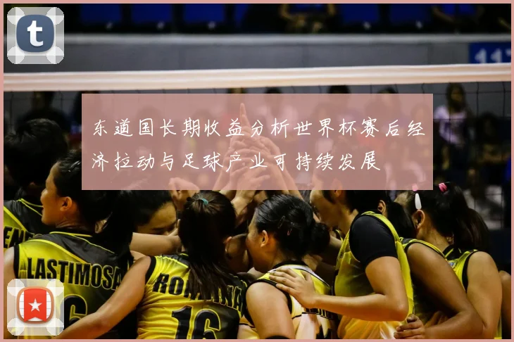 东道国长期收益分析世界杯赛后经济拉动与足球产业可持续发展