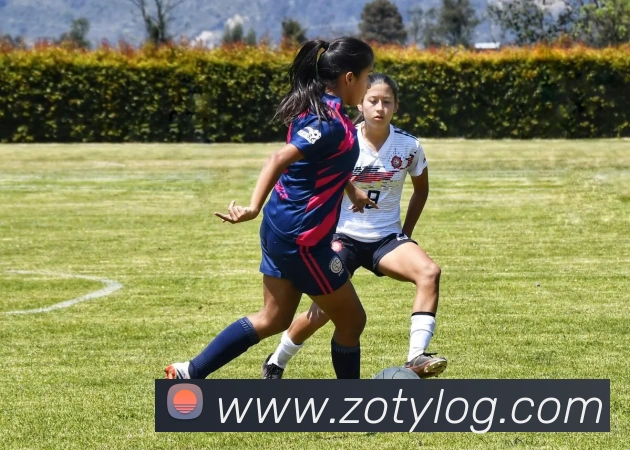 中欧体育品牌故事