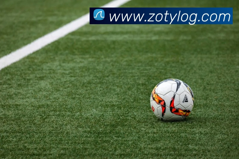 中欧体育服务体系